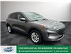 2021 Ford Escape SE (Stk: PR02291) in Windsor - Image 10 of 29
