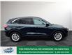 2022 Ford Escape SE (Stk: PR51377) in Windsor - Image 8 of 30