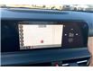 2025 Kia Seltos SX w/Brown Interior (Stk: SSS5271) in Sherwood Park - Image 14 of 15