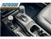 2024 Jeep Wrangler Sahara (Stk: 43877) in Waterloo - Image 15 of 20