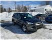2015 Ford Escape SE (Stk: 250172) in Ottawa - Image 1 of 21