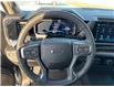 2025 Chevrolet Silverado 1500 RST (Stk: 13640) in Roblin - Image 8 of 9
