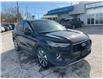 2023 Ford Escape Platinum (Stk: 250181) in Kingston - Image 1 of 25