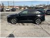 2023 Ford Escape Platinum (Stk: 250181) in Kingston - Image 6 of 25