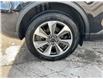 2023 Ford Escape Platinum (Stk: 250181) in Kingston - Image 25 of 25