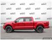 2025 Ford F-150 STX (Stk: 25F1216) in St. Catharines - Image 3 of 24