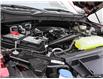 2025 Ford F-150 STX (Stk: 25F1216) in St. Catharines - Image 6 of 24