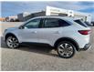 2025 Ford Escape Platinum (Stk: 25S5062) in Pincher Creek - Image 3 of 17