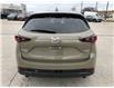 2025 Mazda CX-5 Suna (Stk: CMGN00142) in Chatham - Image 6 of 19