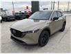 2025 Mazda CX-5 Suna (Stk: CMGN00142) in Chatham - Image 9 of 19