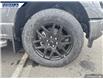 2025 Ford F-150 STX (Stk: 26800) in Dartmouth - Image 8 of 25