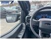 2025 Ford F-150 STX (Stk: 26800) in Dartmouth - Image 17 of 25