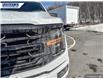 2025 Ford F-150 XLT (Stk: 26804) in Dartmouth - Image 8 of 24