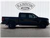 2025 Ford F-150 XLT (Stk: 25T030) in ROCKY MOUNTAIN HOUSE - Image 6 of 15