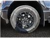 2025 Ford F-150 XLT (Stk: 25T030) in ROCKY MOUNTAIN HOUSE - Image 14 of 15