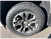 2025 Chevrolet Silverado 1500 High Country (Stk: CS101) in High River - Image 6 of 6