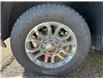 2025 Chevrolet Silverado 3500HD LT (Stk: CS129) in High River - Image 6 of 6