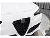 2025 Alfa Romeo Giulia Base (Stk: AR2509) in Edmonton - Image 9 of 25