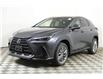 2025 Lexus NX 350h  (Stk: 14109684) in Markham - Image 3 of 11