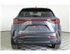 2025 Lexus NX 350h  (Stk: 14109684) in Markham - Image 6 of 11