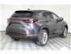 2025 Lexus NX 350h  (Stk: 14109684) in Markham - Image 7 of 11