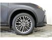 2025 Lexus NX 350h  (Stk: 14109684) in Markham - Image 8 of 11