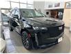 2024 Cadillac Escalade Sport Platinum (Stk: 24423) in Bracebridge - Image 5 of 11