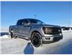 2025 Ford F-150 XLT (Stk: 25T7563) in Pincher Creek - Image 6 of 14