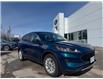 2020 Ford Escape SE (Stk: 24ES20A) in GANANOQUE - Image 1 of 10
