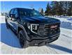 2025 GMC Sierra 1500 Elevation (Stk: 25145) in Green Valley - Image 12 of 14
