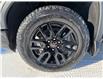 2025 GMC Sierra 1500 Elevation (Stk: 25145) in Green Valley - Image 14 of 14