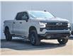 2024 Chevrolet Silverado 1500 LT Trail Boss (Stk: N3620) in Hamilton - Image 6 of 29