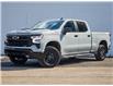 2024 Chevrolet Silverado 1500 LT Trail Boss (Stk: N3620) in Hamilton - Image 1 of 29