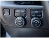 2024 Chevrolet Silverado 1500 LT Trail Boss (Stk: N3620) in Hamilton - Image 22 of 29
