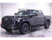 2023 Toyota Tundra Platinum (Stk: F10330) in Winnipeg - Image 2 of 22