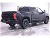 2023 Toyota Tundra Platinum (Stk: F10330) in Winnipeg - Image 4 of 22