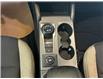 2025 Ford Bronco Sport Big Bend (Stk: 25DBS003) in Drayton Valley - Image 11 of 13