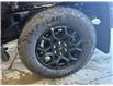 2025 Ford F-150 XLT (Stk: 25DFT009) in Drayton Valley - Image 13 of 13
