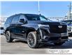 2023 Cadillac Escalade V-Series (Stk: U6093) in Grimsby - Image 12 of 36