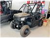 2025 Honda Pioneer 520 SXS5M2CS (Stk: HHSX044) in Hanover - Image 1 of 9