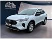 2025 Ford Escape Active (Stk: 11936) in Golden - Image 1 of 17