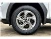 2023 Hyundai Tucson  (Stk: 24P9359A) in Cranbrook - Image 8 of 30