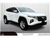 2023 Hyundai Tucson  (Stk: 24P9359A) in Cranbrook - Image 11 of 30