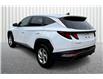 2023 Hyundai Tucson  (Stk: 24P9359A) in Cranbrook - Image 12 of 30