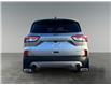 2022 Ford Escape SEL (Stk: P40020) in Saskatoon - Image 4 of 15