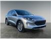 2022 Ford Escape SEL (Stk: P40020) in Saskatoon - Image 7 of 15