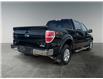 2013 Ford F-150 XLT (Stk: BT2896) in Saskatoon - Image 5 of 15