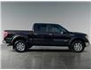 2013 Ford F-150 XLT (Stk: BT2896) in Saskatoon - Image 6 of 15
