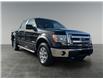 2013 Ford F-150 XLT (Stk: BT2896) in Saskatoon - Image 7 of 15