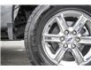 2024 Ford F-150 XLT (Stk: P3808) in Vancouver - Image 10 of 26